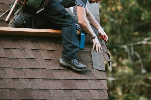 Best Metal Roofing Contractor  in Henderson, TN